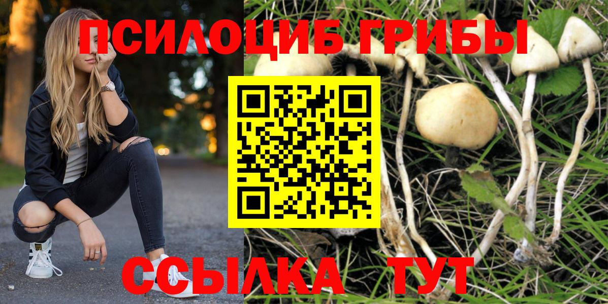 Галлюциногенные грибы Cubensis Тобольск