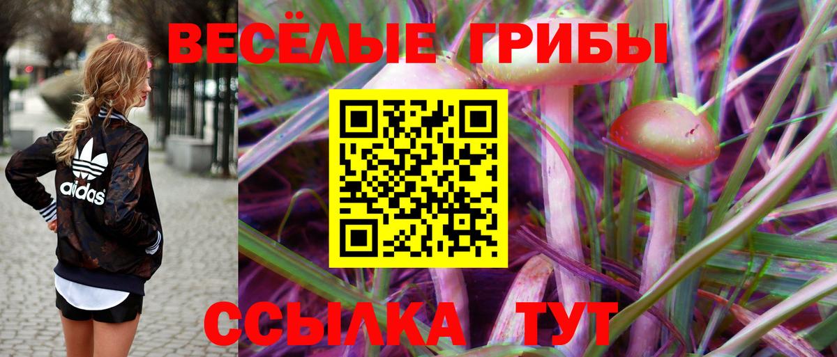 Галлюциногенные грибы мицелий  Вход с VPN  Псилоцибиновые грибы Cubensis  Тобольск 